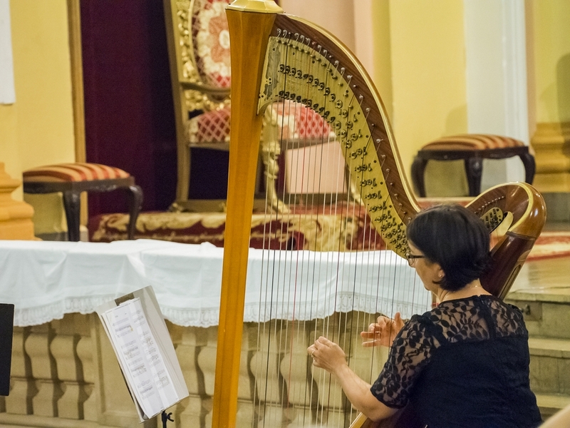 Dorota Buraczewska-Kraus