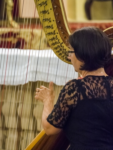 Dorota Buraczewska-Kraus